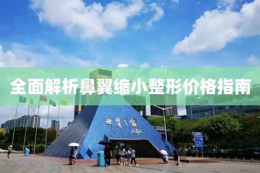 全面解析鼻翼缩小整形价格指南