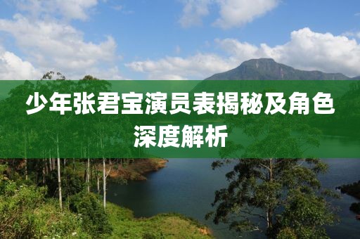 少年张君宝演员表揭秘及角色深度解析