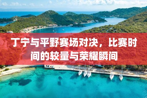 丁宁与平野赛场对决，比赛时间的较量与荣耀瞬间