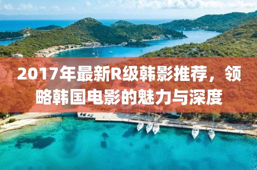 2017年最新R级韩影推荐，领略韩国电影的魅力与深度