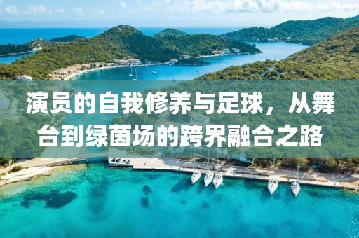 演员的自我修养与足球，从舞台到绿茵场的跨界融合之路