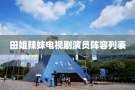 田姐辣妹电视剧演员阵容列表