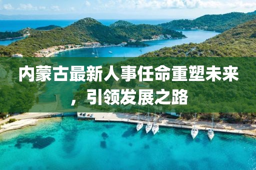内蒙古最新人事任命重塑未来，引领发展之路