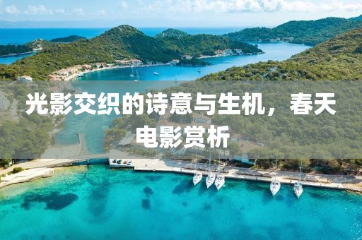 光影交织的诗意与生机，春天电影赏析
