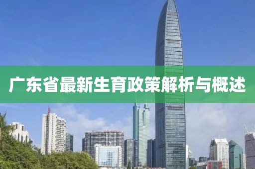 广东省最新生育政策解析与概述