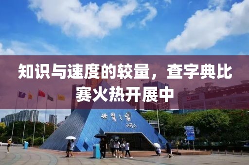 知识与速度的较量，查字典比赛火热开展中