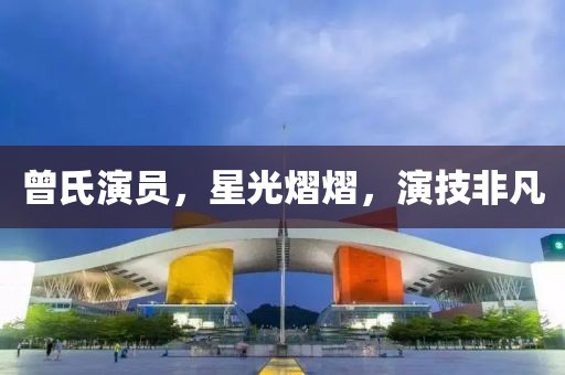 曾氏演员，星光熠熠，演技非凡