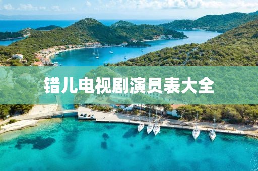 错儿电视剧演员表大全