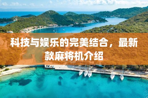 科技与娱乐的完美结合，最新款麻将机介绍