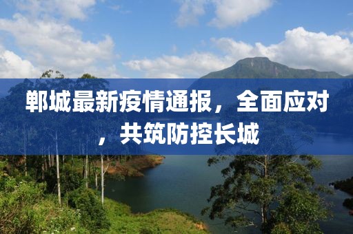 郸城最新疫情通报，全面应对，共筑防控长城
