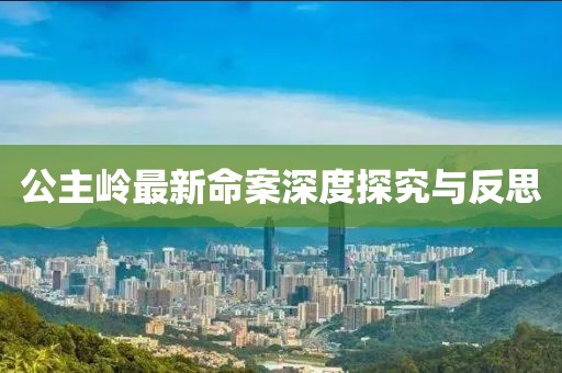 公主岭最新命案深度探究与反思
