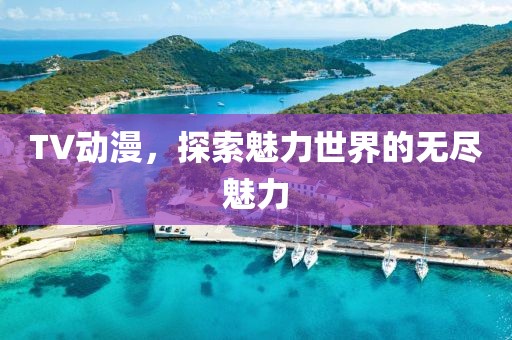 TV动漫，探索魅力世界的无尽魅力