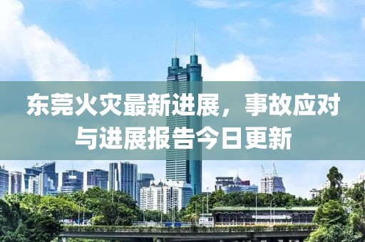 东莞火灾最新进展，事故应对与进展报告今日更新