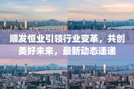 顺发恒业引领行业变革，共创美好未来，最新动态速递