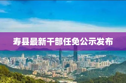 寿县最新干部任免公示发布