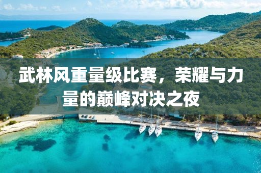 武林风重量级比赛，荣耀与力量的巅峰对决之夜