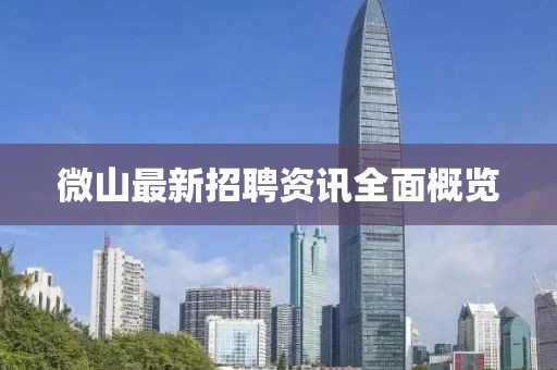 微山最新招聘资讯全面概览
