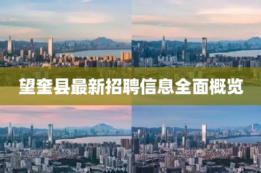望奎县最新招聘信息全面概览