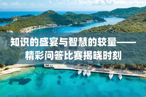 知识的盛宴与智慧的较量——精彩问答比赛揭晓时刻