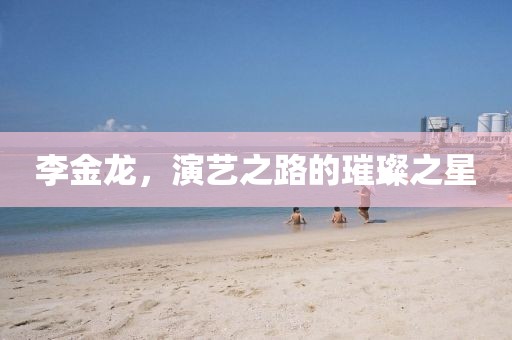 李金龙，演艺之路的璀璨之星