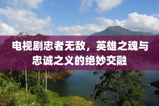 电视剧忠者无敌，英雄之魂与忠诚之义的绝妙交融