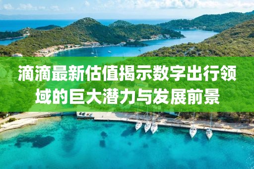 滴滴最新估值揭示数字出行领域的巨大潜力与发展前景