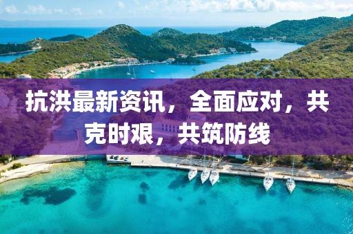 抗洪最新资讯，全面应对，共克时艰，共筑防线