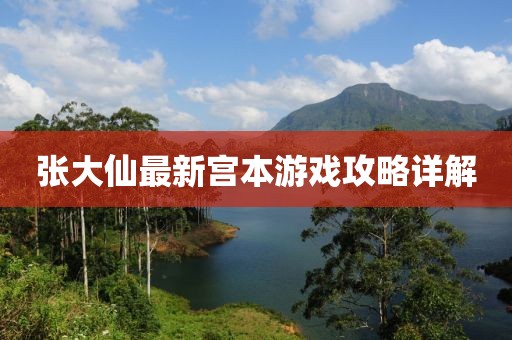 张大仙最新宫本游戏攻略详解