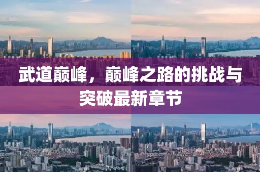 武道巅峰，巅峰之路的挑战与突破最新章节