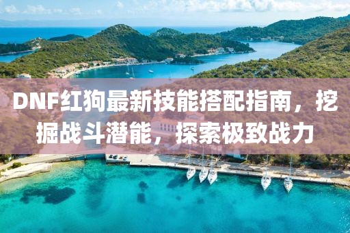 DNF红狗最新技能搭配指南，挖掘战斗潜能，探索极致战力