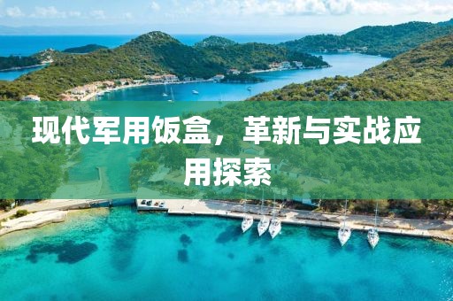 现代军用饭盒，革新与实战应用探索