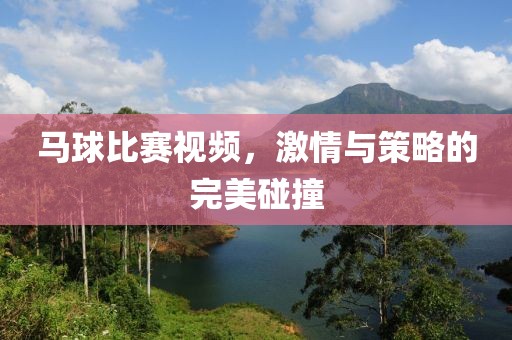 马球比赛视频，激情与策略的完美碰撞