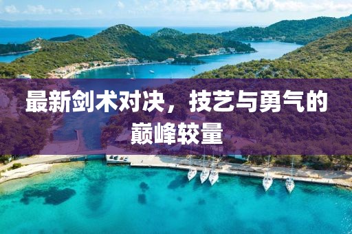 最新剑术对决，技艺与勇气的巅峰较量