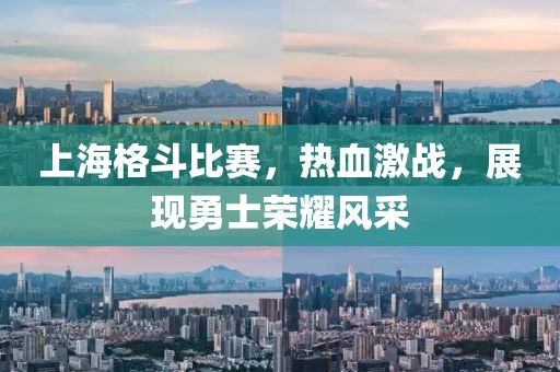 上海格斗比赛，热血激战，展现勇士荣耀风采