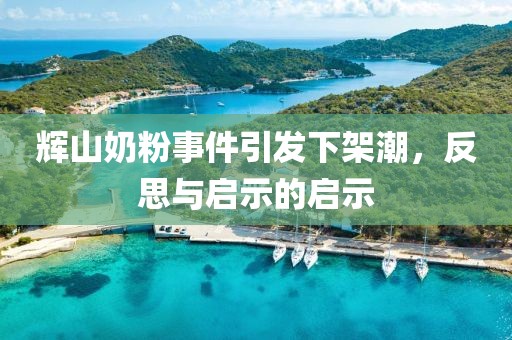 辉山奶粉事件引发下架潮，反思与启示的启示