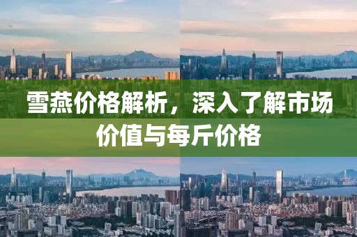 雪燕价格解析，深入了解市场价值与每斤价格