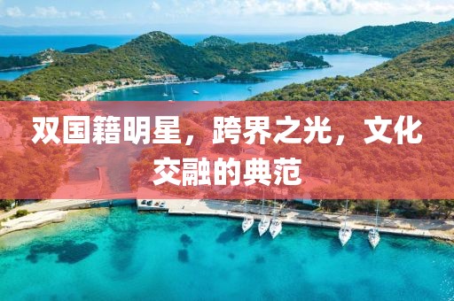 双国籍明星，跨界之光，文化交融的典范
