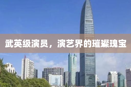 武英级演员，演艺界的璀璨瑰宝