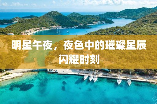 明星午夜，夜色中的璀璨星辰闪耀时刻