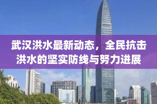 武汉洪水最新动态，全民抗击洪水的坚实防线与努力进展