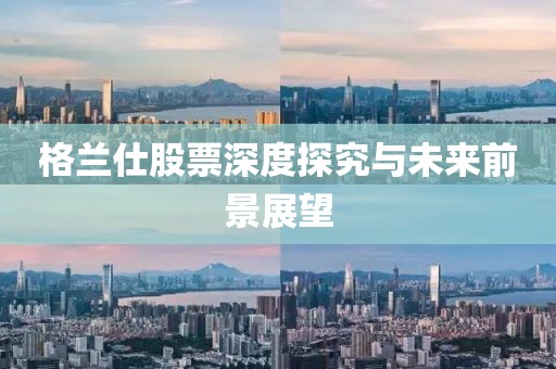 格兰仕股票深度探究与未来前景展望
