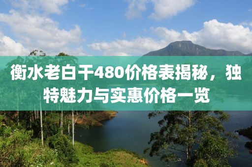 衡水老白干480价格表揭秘，独特魅力与实惠价格一览