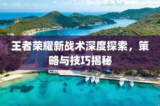 王者荣耀新战术深度探索，策略与技巧揭秘