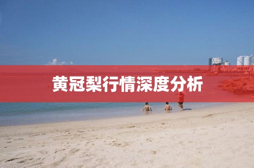 黄冠梨行情深度分析