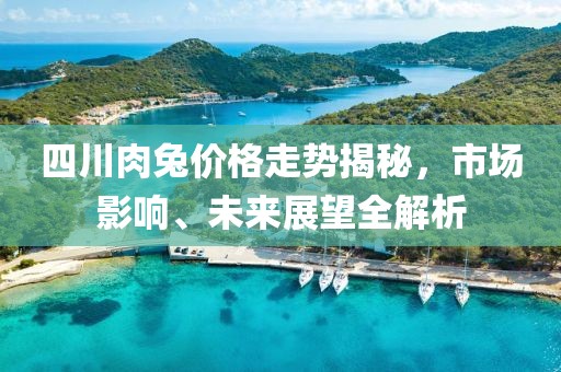 四川肉兔价格走势揭秘，市场影响、未来展望全解析