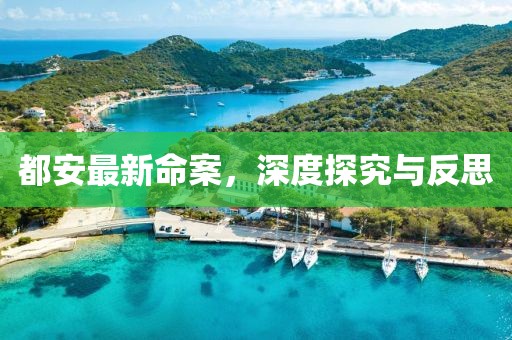 都安最新命案，深度探究与反思