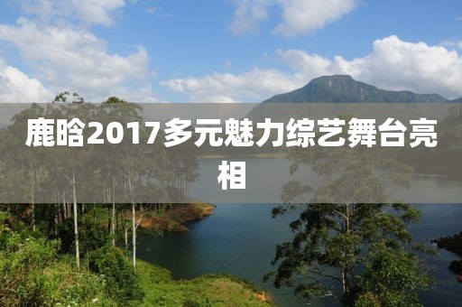 鹿晗2017多元魅力综艺舞台亮相