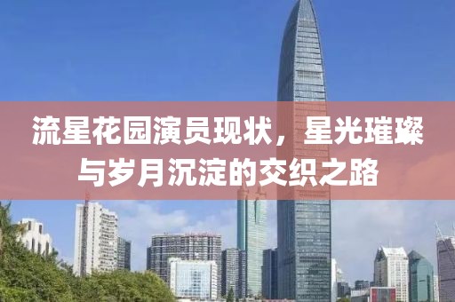 流星花园演员现状，星光璀璨与岁月沉淀的交织之路