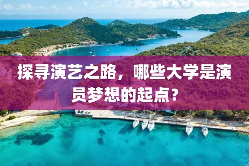 探寻演艺之路，哪些大学是演员梦想的起点？