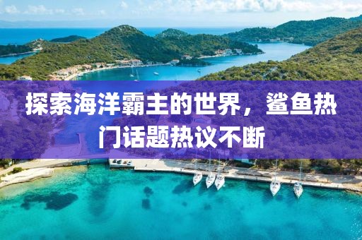 探索海洋霸主的世界，鲨鱼热门话题热议不断